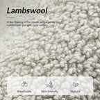 Modern 31W Boucle Armchair with Solid Wood Legs by